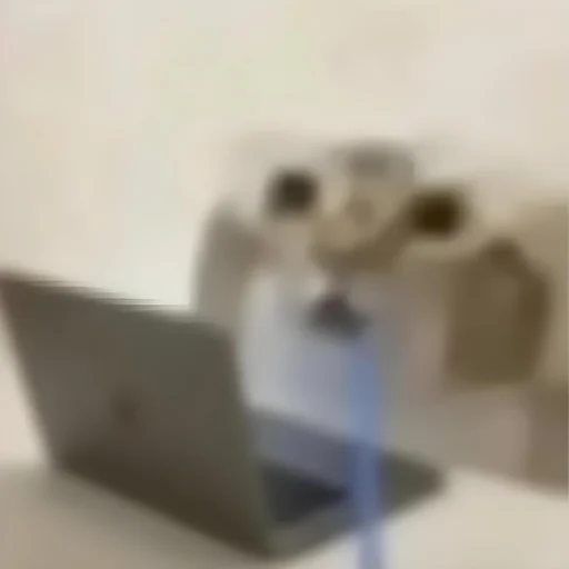 徐崟童 的头像